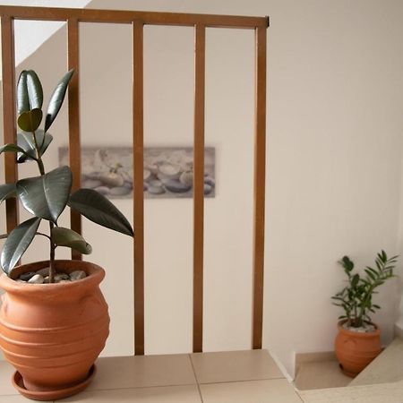 Nikorina Apts Lefkáda Dış mekan fotoğraf